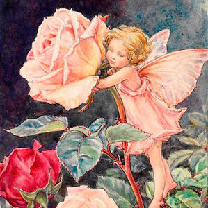 Meet your Posher, Aliyah